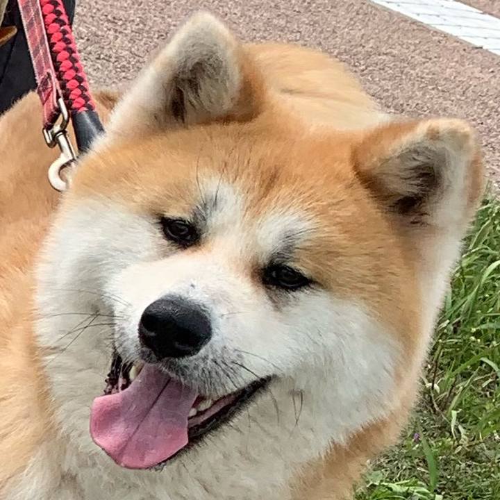 B8c1687c 7b17 4060 8487 3e561f1d8700 1716620737880