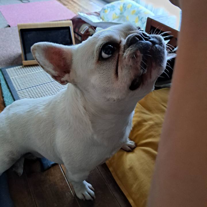 B8c1bfa3 57cc 45c3 aade c49e6c848419 1691968990600