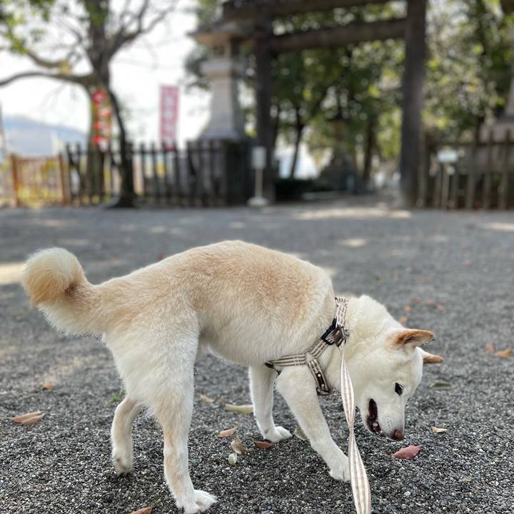 B8c1bfe7 9929 4bc6 884f b58bf0dffbec 1647328151603