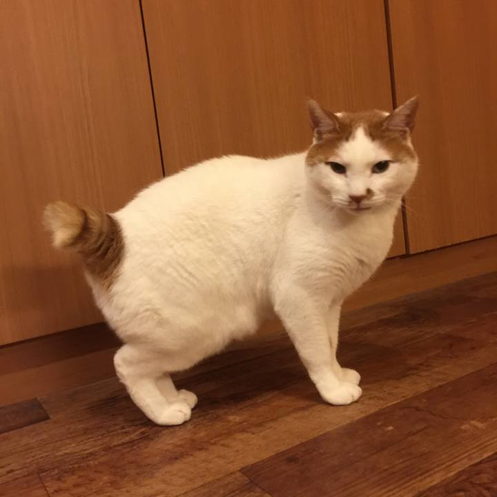 B8c1d068 03f3 4de4 b20d cdd68d22d8ab 1513771423854