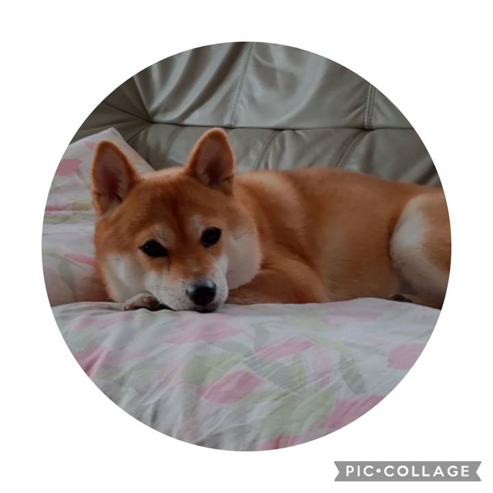 B8c1da91 4c3a 41f6 949f 2702eb986a40 1696214296634