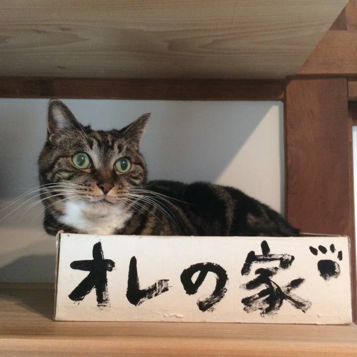 B8c1e329 79cd 413d 9eea 134846b0d8b2 1555459623603