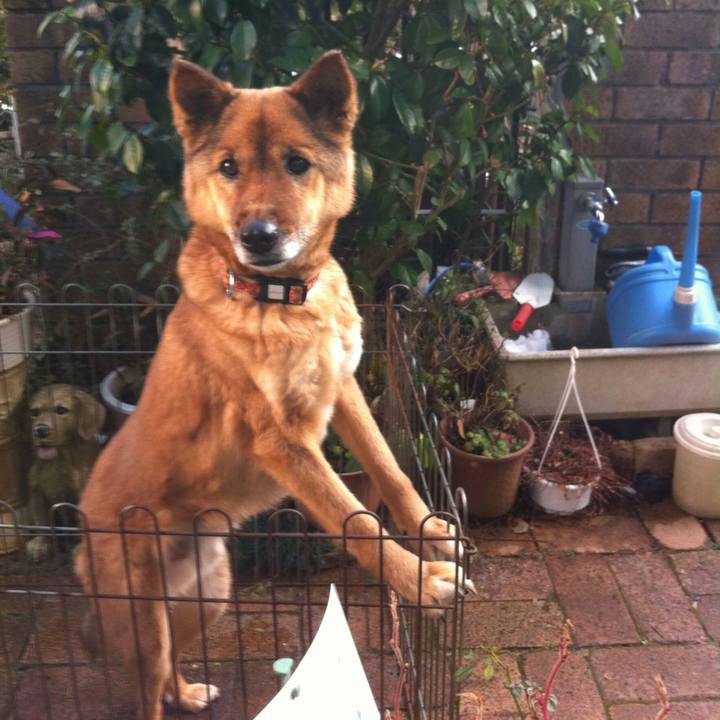 B8c1e7b5 658d 4576 a9a9 1da33a511c20 1534147393248