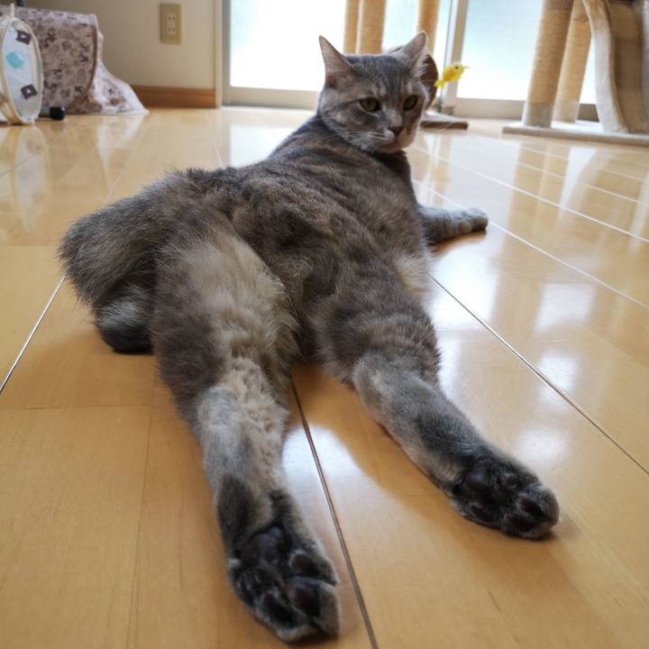 B8c22ab0 174d 4bdb 9703 116ee9bd9100 1561124627445