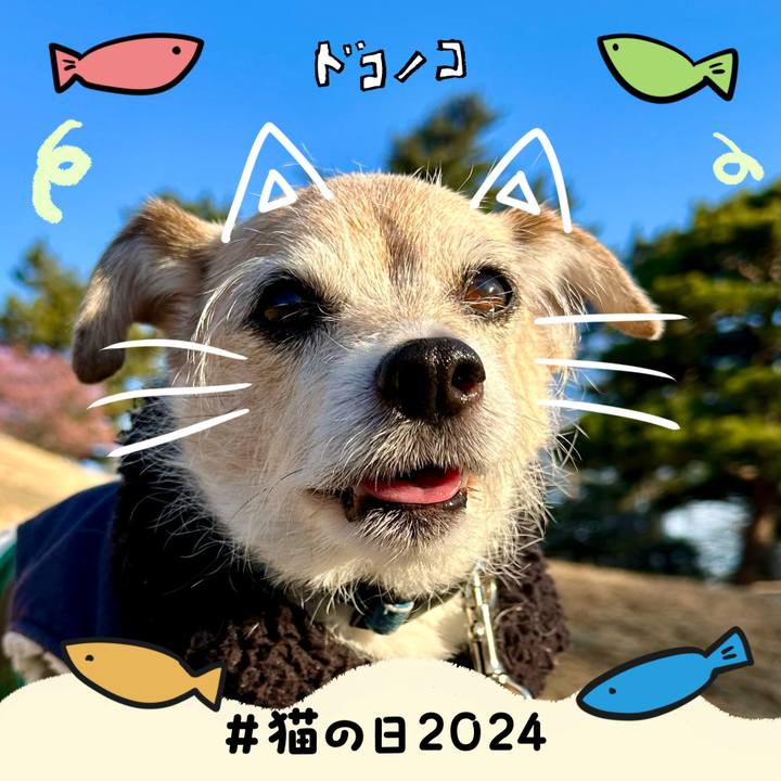 B8c26c37 0fe4 4426 ac92 1238f2b8b522 1708556739575