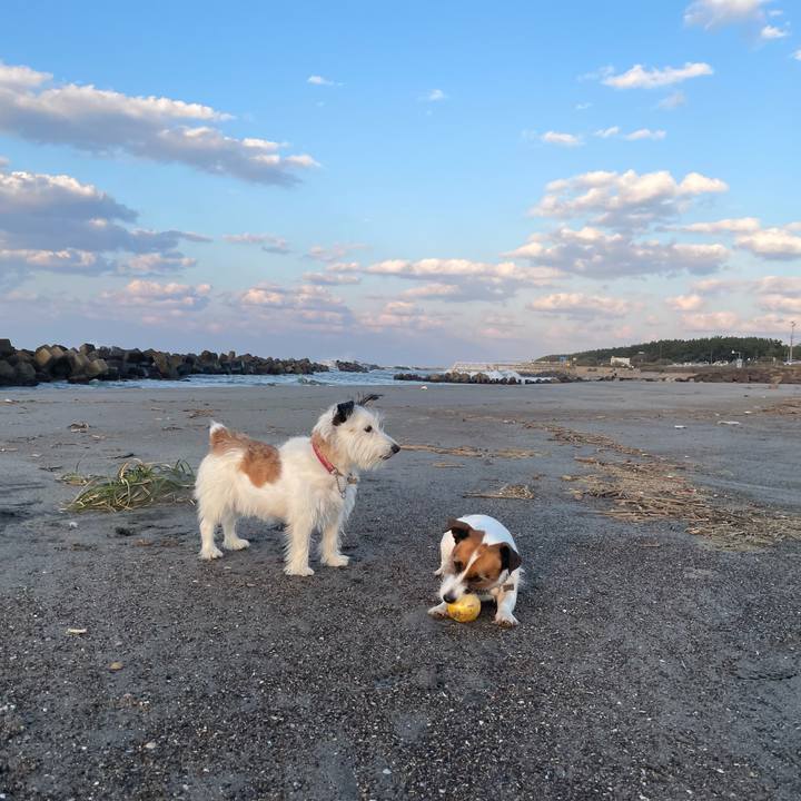 B8c27542 1828 49ca 93eb 3092bef2b4f6 1761729895094