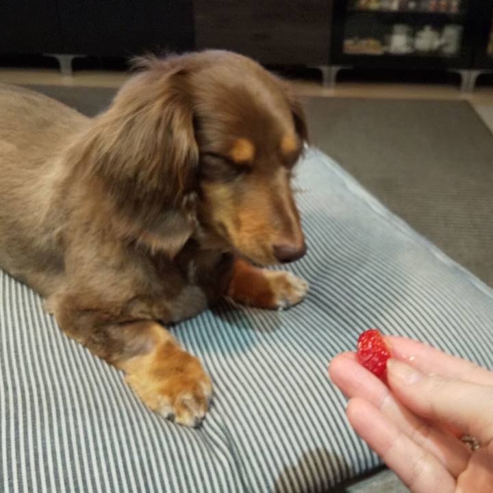 B8c2780c 312d 4366 baf3 d9cc7849edf6 1585454860908