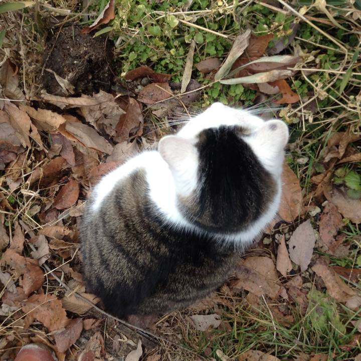 B8c27b2b 39e8 4a58 89ba fcd1a0ed0358 1515921514885