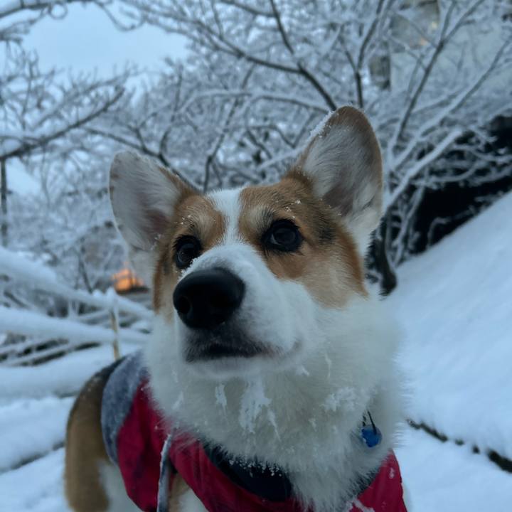 B8c2816e 8af6 45a6 8746 c7d8ebde7ed2 1770547056924