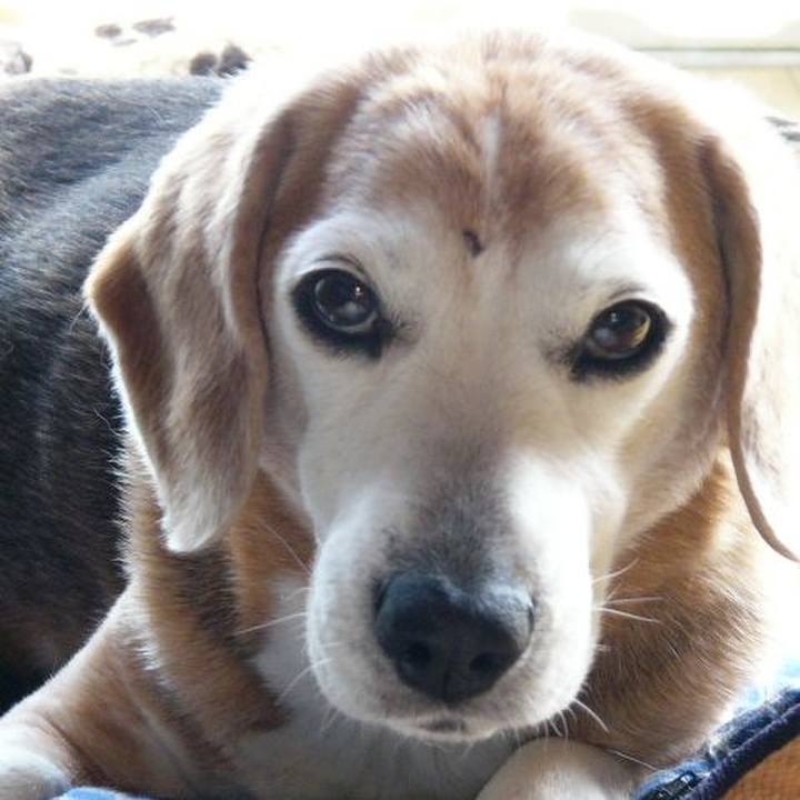 B8c28fa5 ccb8 46af 9fd8 23dde82e0876 1661387112449