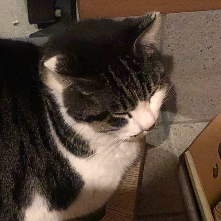 B8c29e98 4342 4495 b2fa 00711da4f471 1581854113398