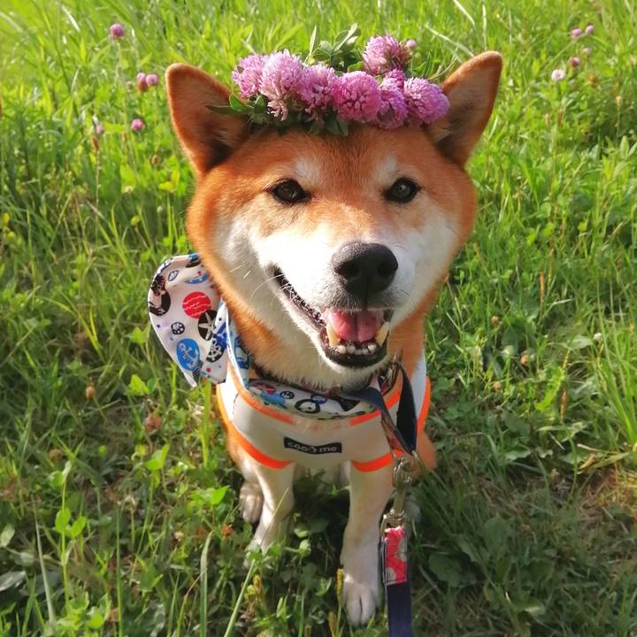 B8c2b8a7 8263 40e0 a3c0 3da33586a07b 1657356244948