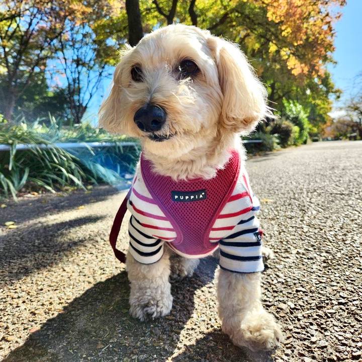 B8c2e207 959d 49f7 9617 ca2fc28bc0d8 1763529093380