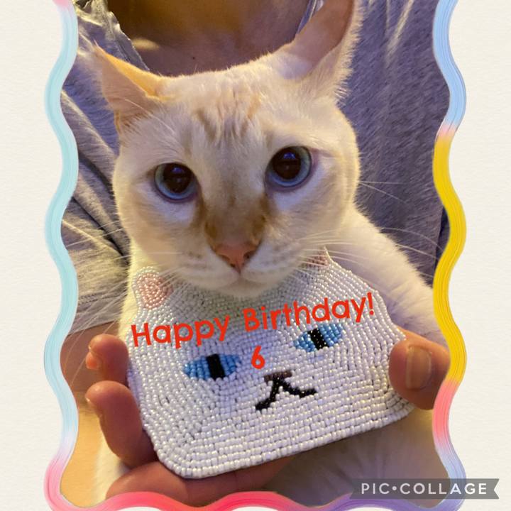 B8c2ed0d 5c91 4fab abbc 0e65bbae6326 1760395719837