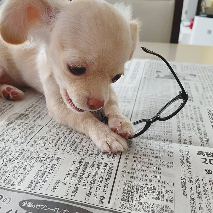 B8c30f82 b91e 49d6 b1fb 03ea141241f3 1593229506284