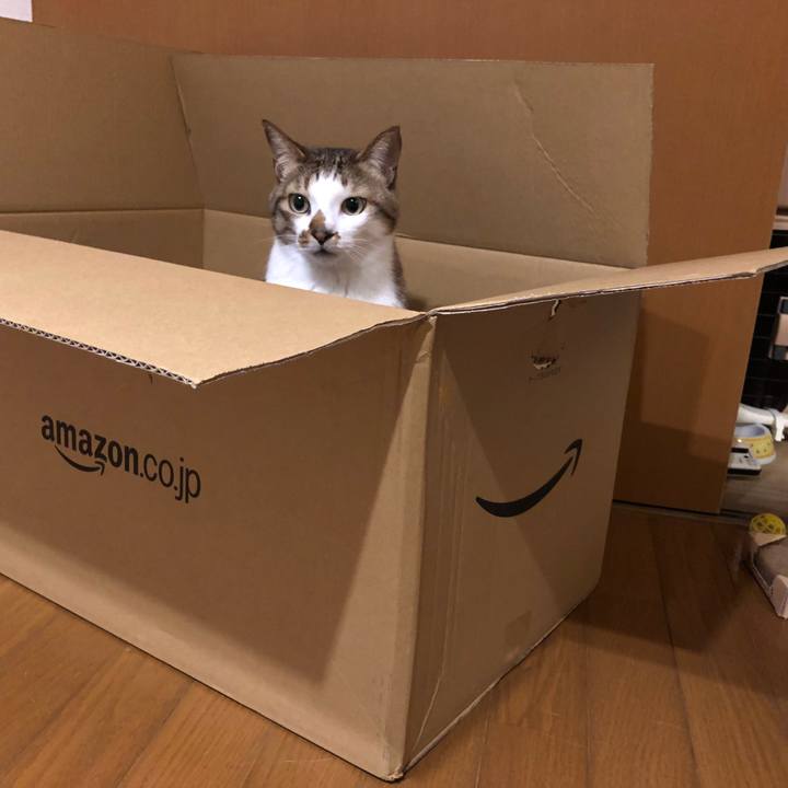 B8c3137d c403 4ae6 8c88 e3d7cdb579d6 1537596587288