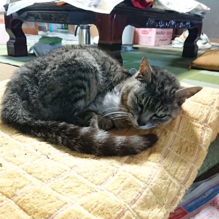 B8c3312e f402 4b0b a0af f0457148ceb5 1594681306540