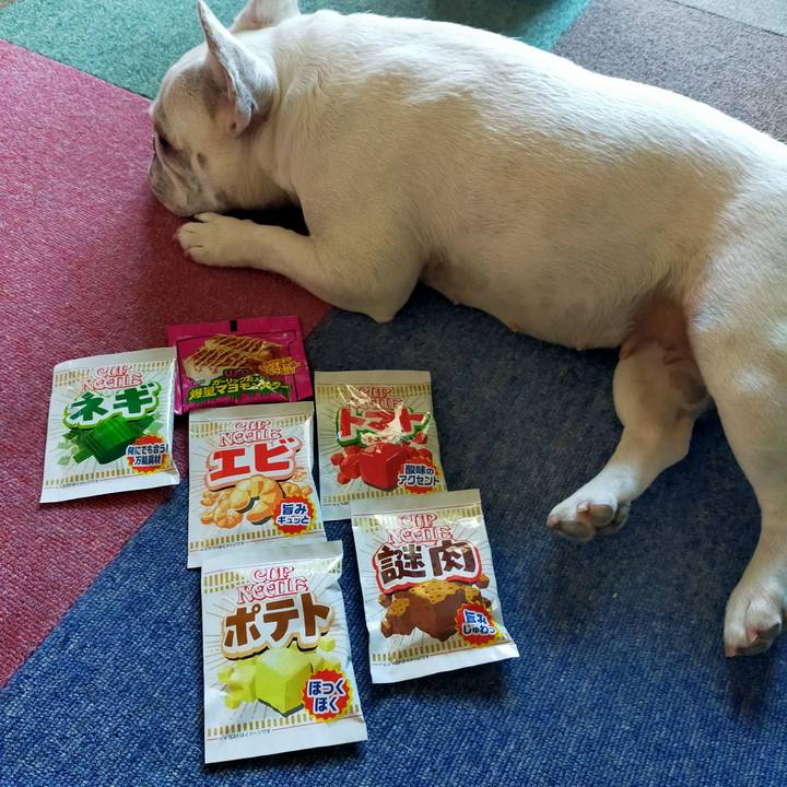 B8c343b0 7527 4003 9814 228c58c44021 1658718615240