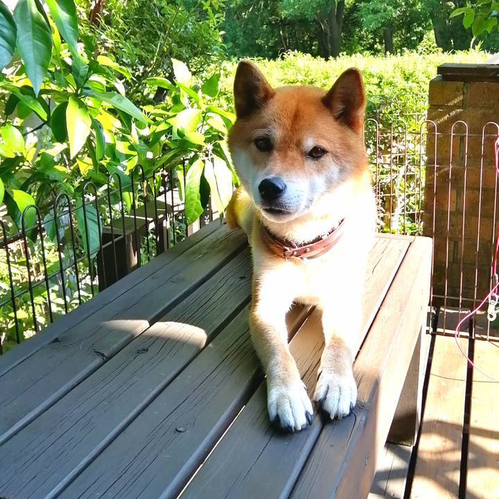 B8c3656a 9b72 4466 9a05 8df234e3a7e6 1593673930344