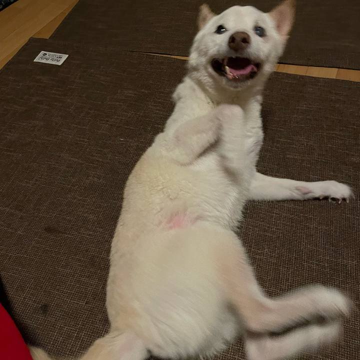 B8c395cb 050b 4932 96b1 fb20d19b74c7 1665686708608