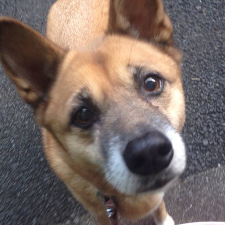 B8c3ca2e d617 4586 884b 7d730f1e1357 1570744409582