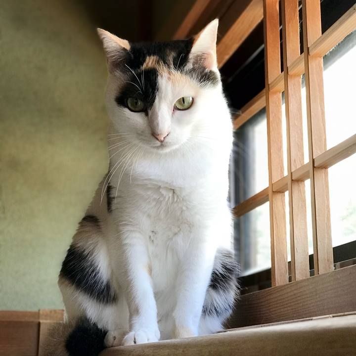 B8c3f905 5588 402c bcb2 0069ec80ebe1 1538276418162