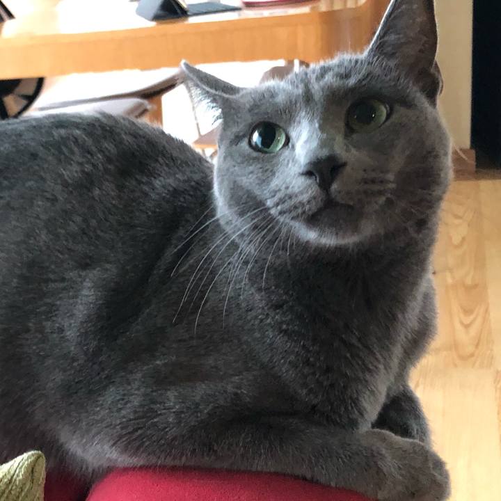 B8c40996 2e23 4c23 ae1d c03a94b9d13f 1570429507995