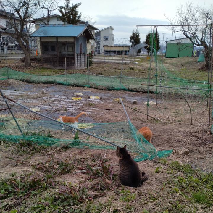 B8c409a7 6111 462f bbff 80488e5a3361 1744267512565