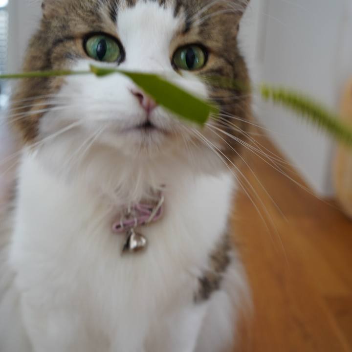 B8c410a7 8c2b 462f be37 485f3665b361 1632199793104