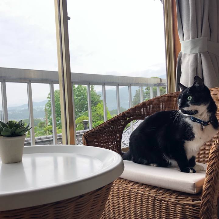 B8c41c5a e036 4b86 8724 255720a70192 1593055029975