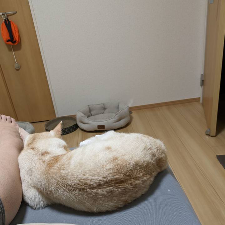 B8c43fbd 26c6 4f91 8ef5 ccf3d27292aa 1691162398852