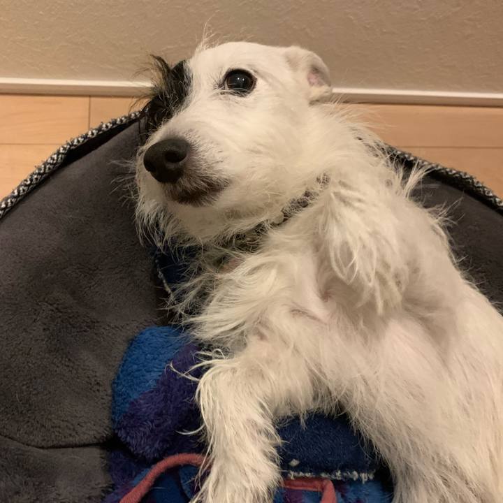 B8c445d0 81fb 4174 ab38 7c05291da5c1 1669465467310