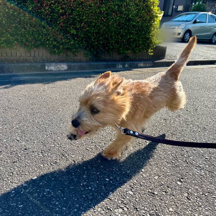 B8c454aa 7a51 43fa 891a 971f272482e9 1717575485443