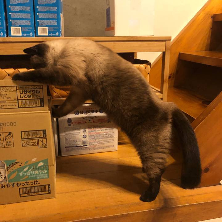 B8c487c9 53db 462b 9c79 aac9c009c152 1631592249376