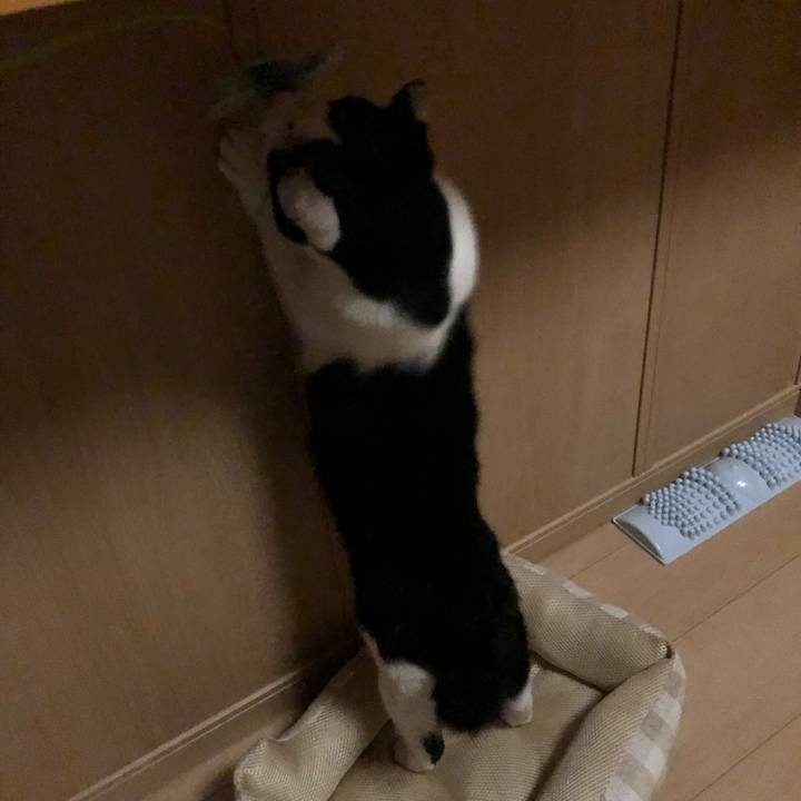 B8c4ae55 0fe9 4d96 853e 4c79b2850193 1562594324332