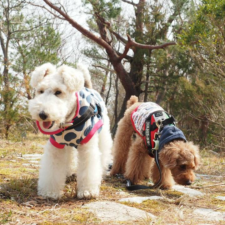 B8c4e705 91b0 4319 8735 dbab099fe4f1 1522128323442