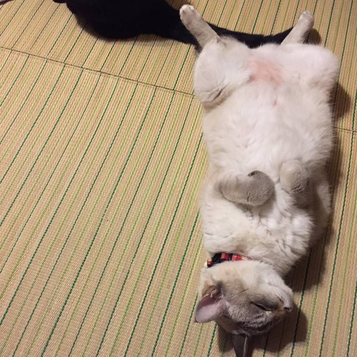 B8c4ef83 ecf6 4ae1 b857 4d4c1964435c 1538738287595