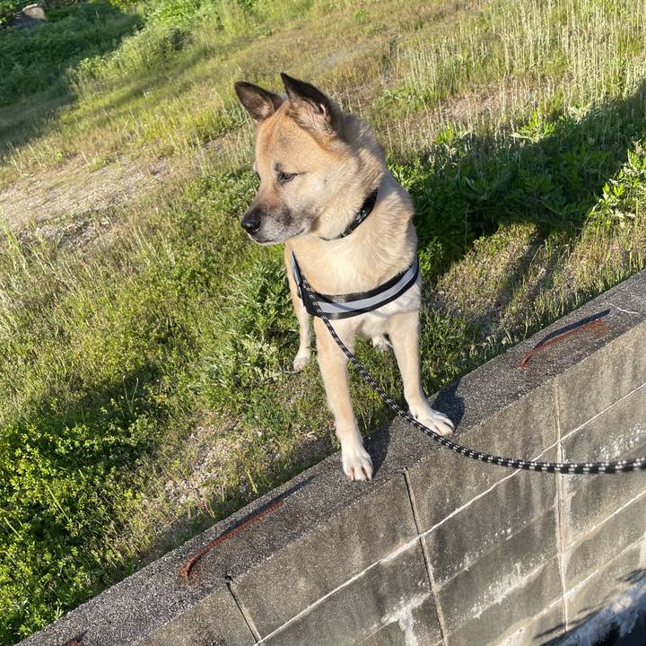 B8c50771 9396 4923 a093 ab91e98f4017 1714730745477