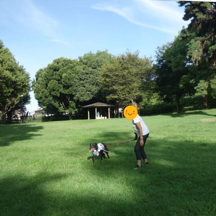 B8c517f9 424f 4ab5 9917 688c3281c5c8 1693439593017