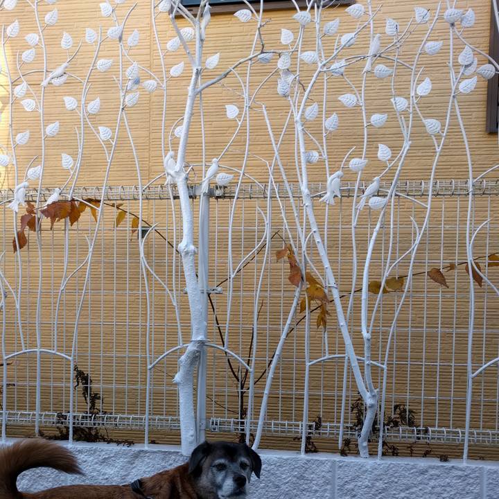 B8c5644c 335a 4e6c b52c 57e7c98dd346 1546045430862