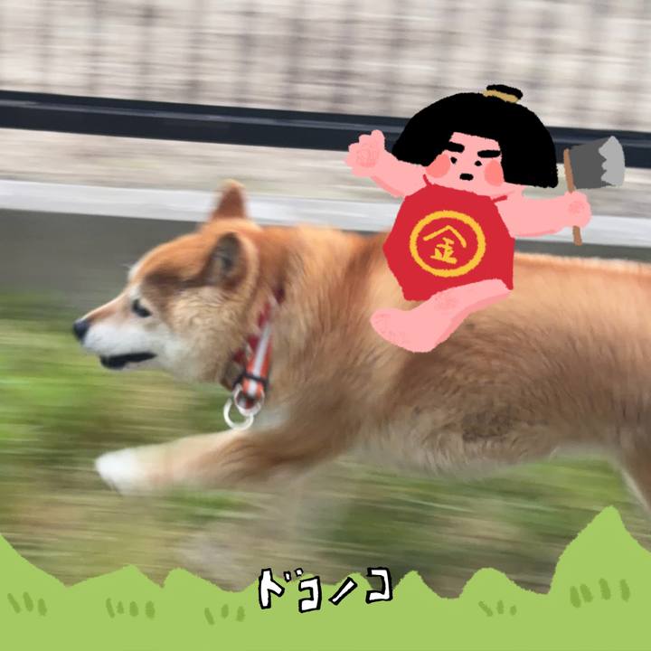 B8c56629 bf3d 4b94 9828 a11f985451f8 1779442829671