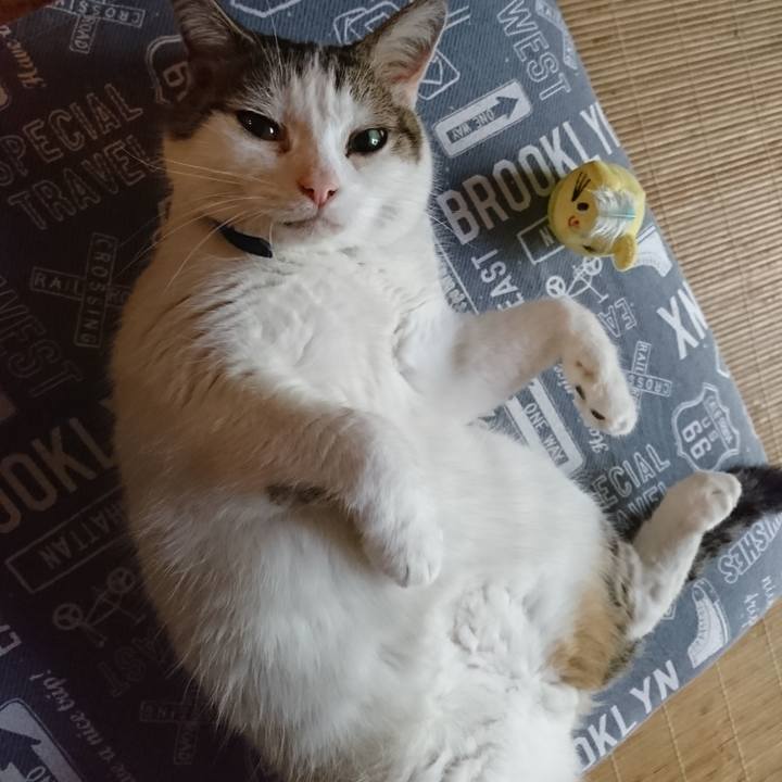 B8c571f5 bdc4 45e6 b1a1 15904d23e2fb 1568070016369