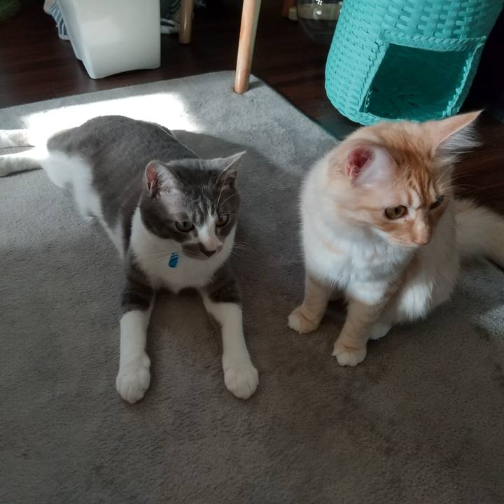 B8c5973e 8f27 467c 9092 77d334dd02df 1617492066188