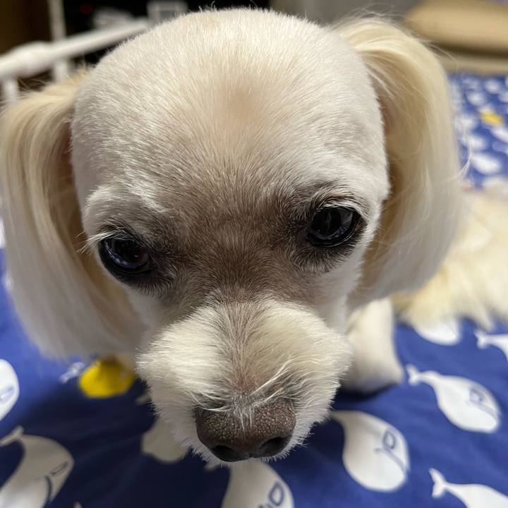 B8c5b449 eeb9 4dda 8912 3fc54e40885d 1689859664664