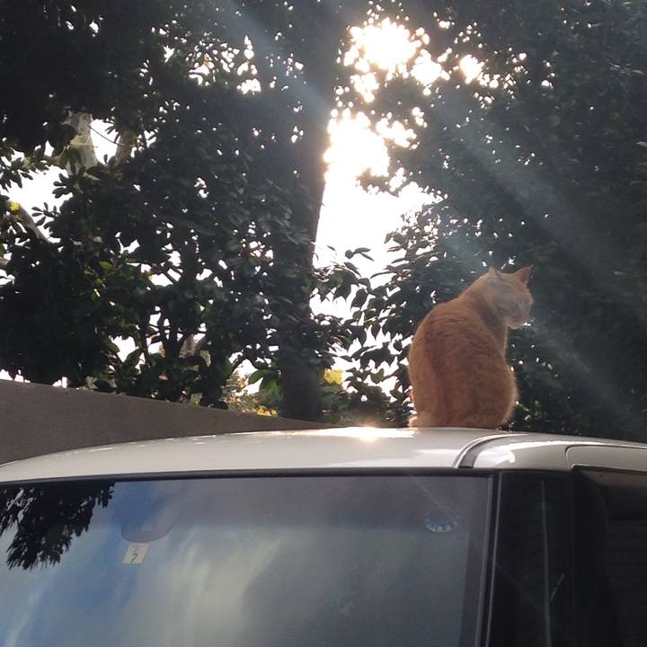 B8c5badf 0d6e 4b0d 928e 68c07317e2ea 1510736822368