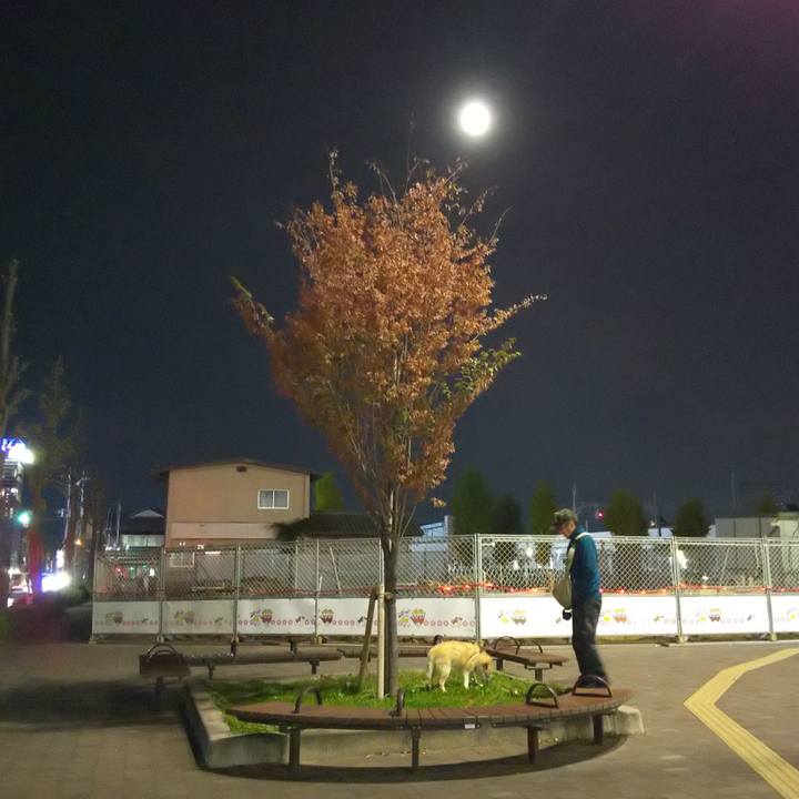 B8c5d5f7 7d7c 48ed b1ec 0c99034b7d86 1573640745073