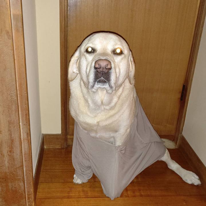 B8c5f544 4518 45fc a8fe 981fb44c0ee8 1603893686909