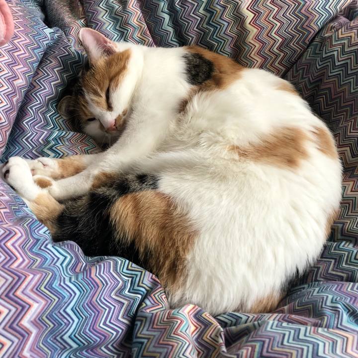 B8c6033c ea88 4330 8809 c9a0214d5439 1604893587323