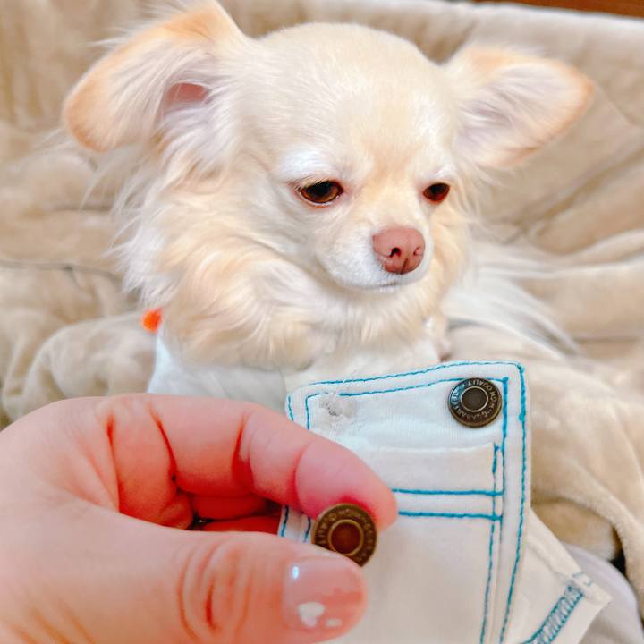 B8c606df 1973 4336 92d0 5e2a5f3c0b51 1647936602496