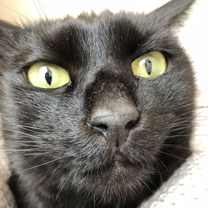 B8c62526 8dc5 40bd bd1e 7a903618075d 1515194945936